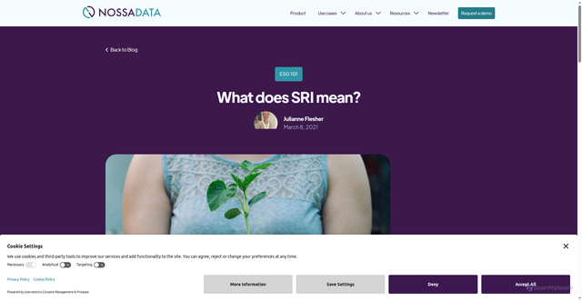 Security scan screenshot of https://www.nossadata.com/blog/what-does-sri-mean