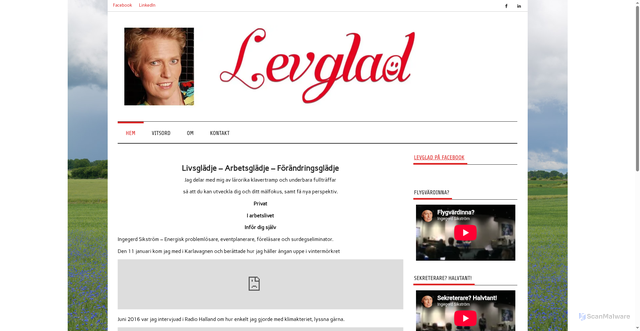 Security scan screenshot of https://levglad.se