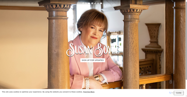 Security scan screenshot of https://susanboylemusic.com/