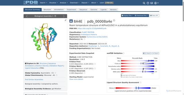 Security scan screenshot of https://www.rcsb.org/structure/8A4E