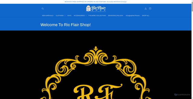 Security scan screenshot of https://ricflairshop.com/