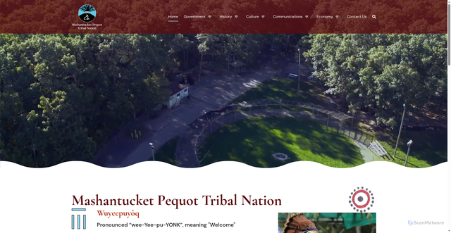 Security scan screenshot of https://www.mptn-nsn.gov/