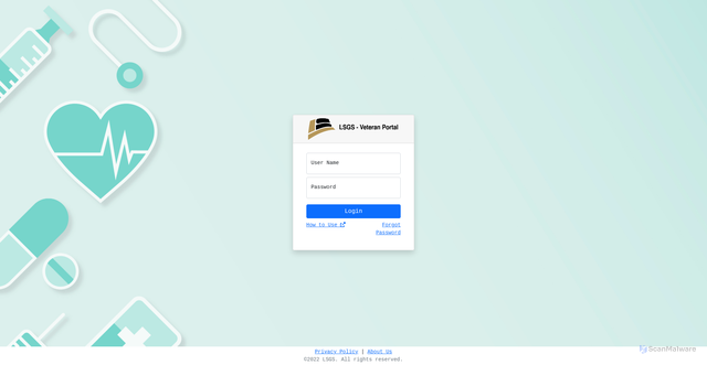 Security scan screenshot of https://lsgsveteranportal.com