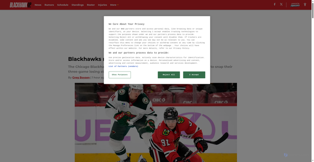 Security scan screenshot of https://blackhawkup.com/blackhawks-need-chaos-to-cool-off-red-hot-wild