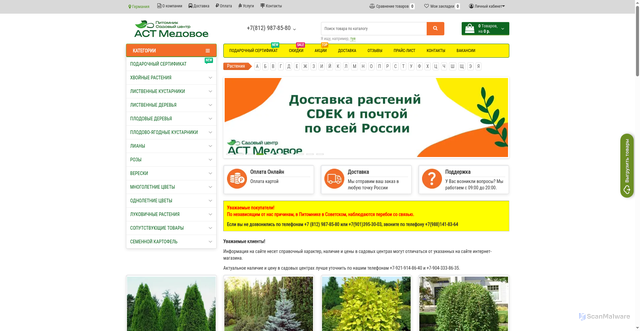 Security scan screenshot of https://astrussia.com