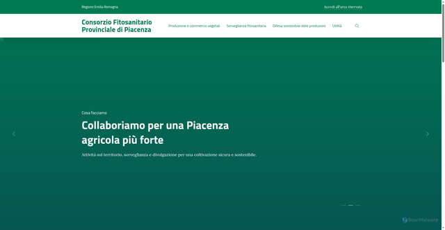 Security scan screenshot of https://www.fitosanitario.pc.it