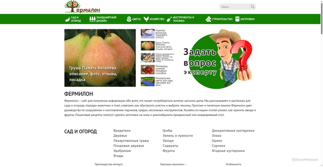 Security scan screenshot of https://fermilon.ru