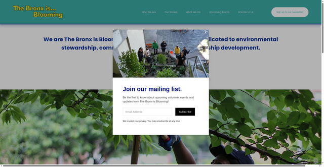 Security scan screenshot of https://www.bronxisblooming.org/
