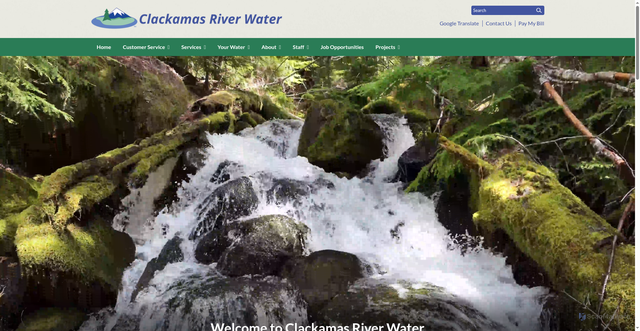 Security scan screenshot of https://www.crwater.com/