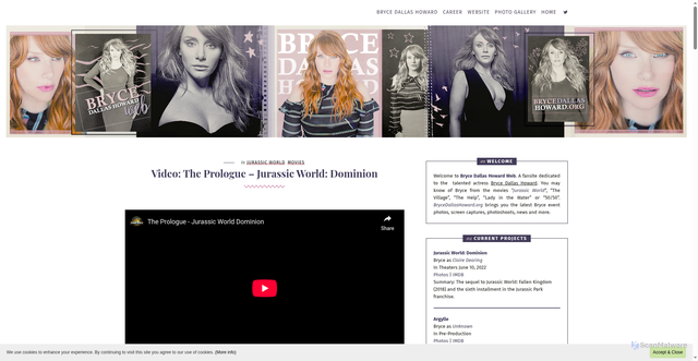 Security scan screenshot of https://brycedallashoward.org/