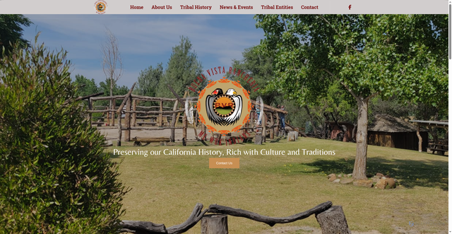 Security scan screenshot of https://www.bvtribe.com/