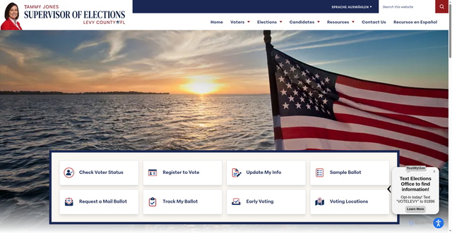 Security scan screenshot of https://www.votelevy.gov/