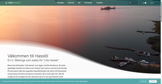 Security scan screenshot of https://xn--visithassl-ncb.se