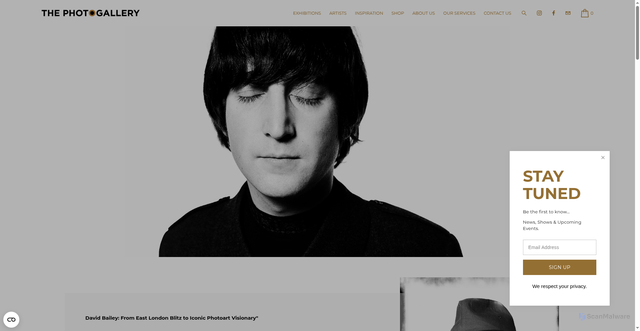 Security scan screenshot of https://www.thephotogallery.se/david-bailey