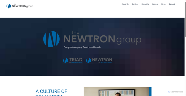 Security scan screenshot of https://thenewtrongroup.com/