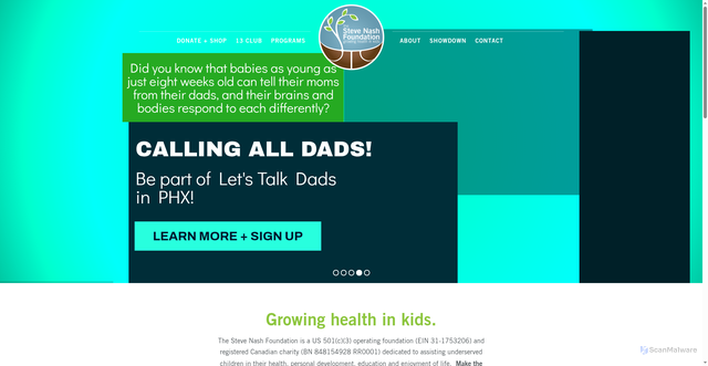 Security scan screenshot of https://stevenash.org/