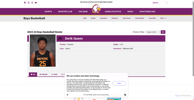 Security scan screenshot of https://mvasports.com/sports/mens-basketball/roster/derik-queen/3733