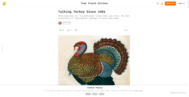 Security scan screenshot of https://timetravelkitchen.substack.com/p/talking-turkey-since-1981