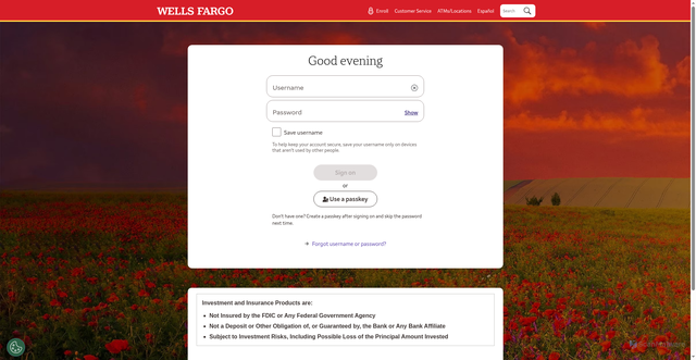 Security scan screenshot of https://m.investing.wellsfargo.com