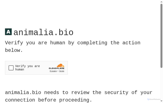 Security scan screenshot of https://animalia.bio/pets/chihuahua