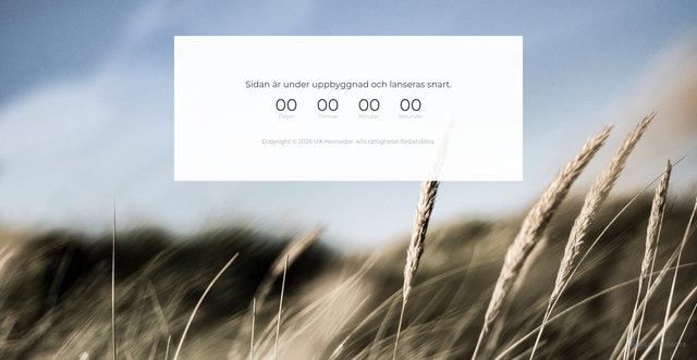 Security scan screenshot of https://uxhemsidor.se