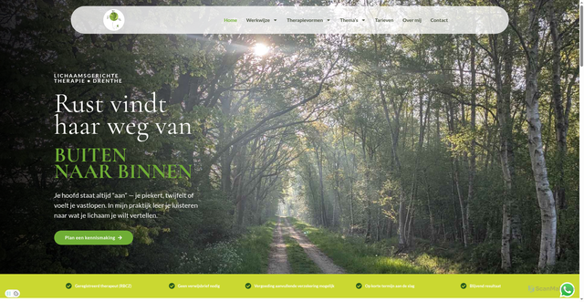 Security scan screenshot of https://praktijkvanbuitennaarbinnen.nu