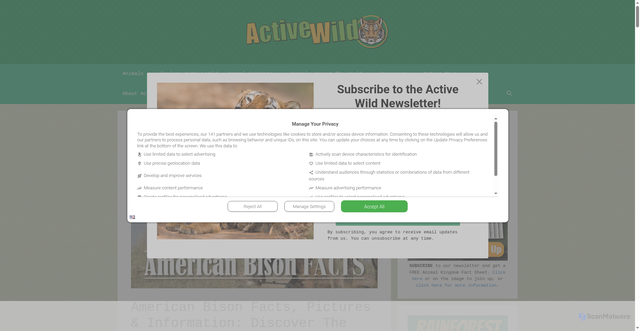 Security scan screenshot of https://www.activewild.com/american-bison/