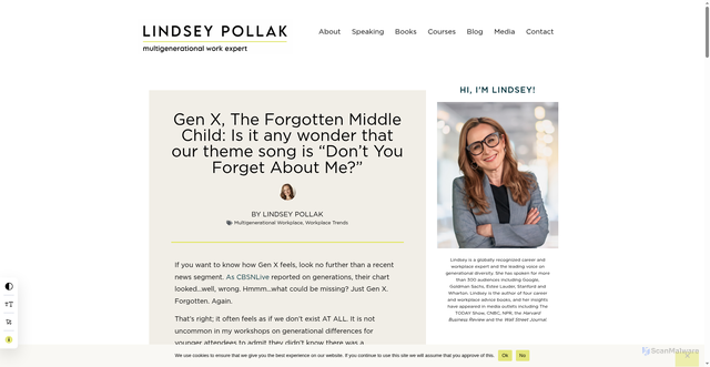 Security scan screenshot of https://lindseypollak.com/gen-x-the-forgotten-middle-child-is-it-any-wonder-that-our-theme-song-is-dont-you-forget-about-me/
