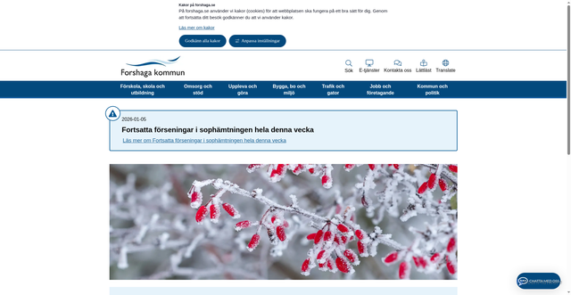 Security scan screenshot of https://www.forshaga.se/