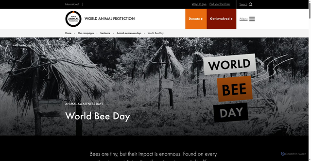 Security scan screenshot of https://www.worldanimalprotection.org/our-campaigns/sentience/animal-awareness-days/world-bee-day/