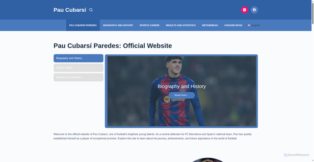 Security scan screenshot of https://pau-cubarsi.com/
