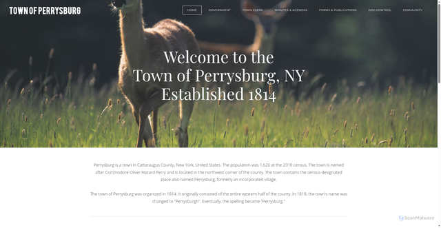 Security scan screenshot of https://perrysburgny.gov/