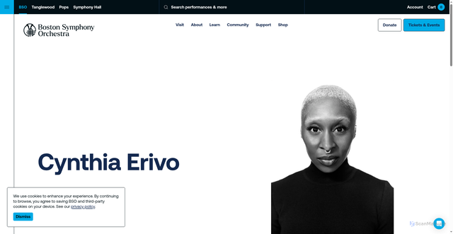 Security scan screenshot of https://www.bso.org/profiles/cynthia-erivo