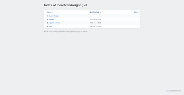 Security scan screenshot of http://hospital.onlineshopbd.top/core/vendor/google