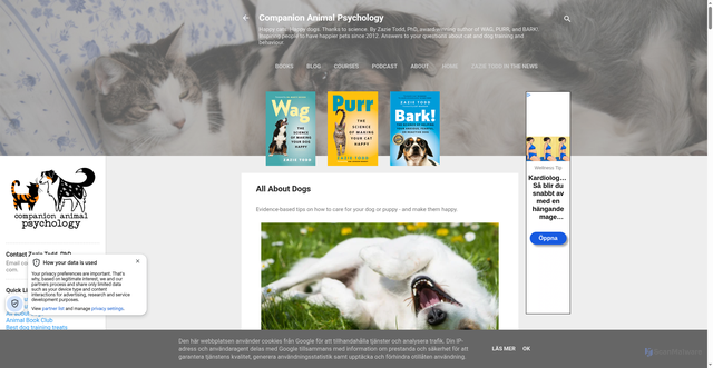 Security scan screenshot of https://www.companionanimalpsychology.com/p/all-about-dogs.html