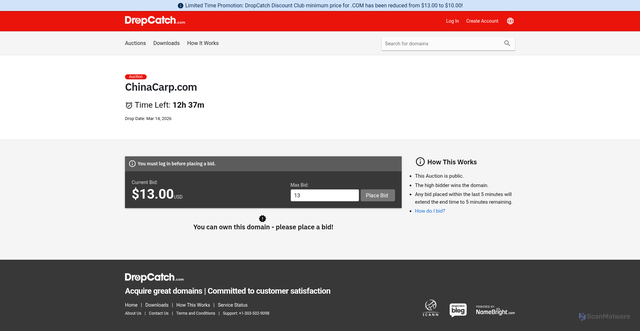 Security scan screenshot of https://chinacarp.com/