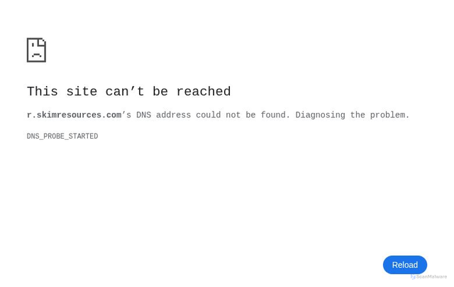 Security scan screenshot of https://r.skimresources.com/