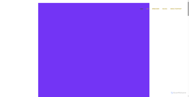 Security scan screenshot of https://annchristineruuth.se