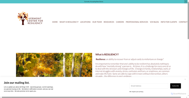 Security scan screenshot of https://www.vtresiliency.com/what-is-resiliency