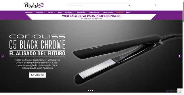 Security scan screenshot of https://www.prodube.com