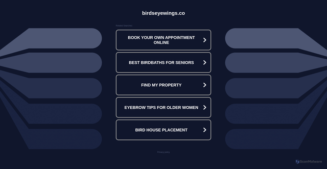 Security scan screenshot of https://895146.birdseyewings.co