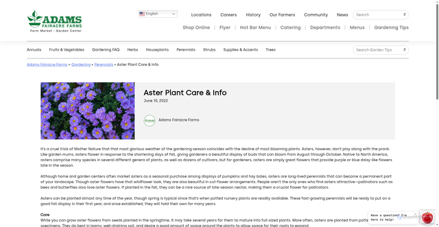 Security scan screenshot of https://adamsfarms.com/gardentips/aster-plant-care-info/