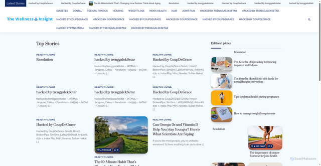 Security scan screenshot of https://thewellnessinsights.com