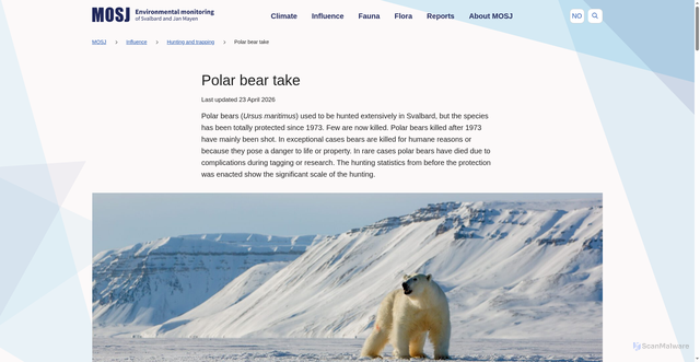 Security scan screenshot of https://mosj.no/en/indikator/influence/hunting-and-trapping/polar-bear-take/