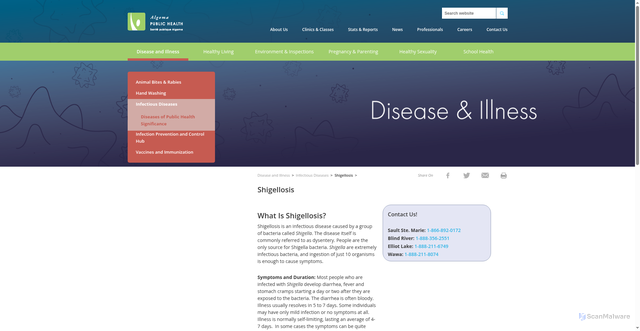 Security scan screenshot of https://www.algomapublichealth.com/disease-and-illness/infectious-diseases/shigellosis/