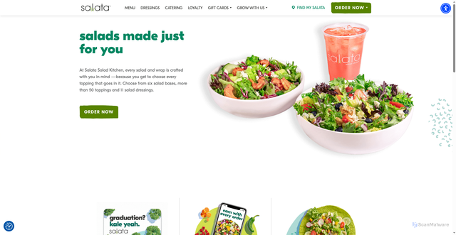 Security scan screenshot of https://salata.com