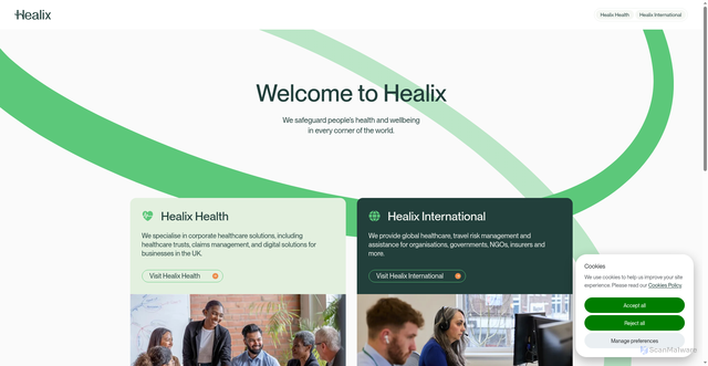Security scan screenshot of healix-group.files.svdcdn.com