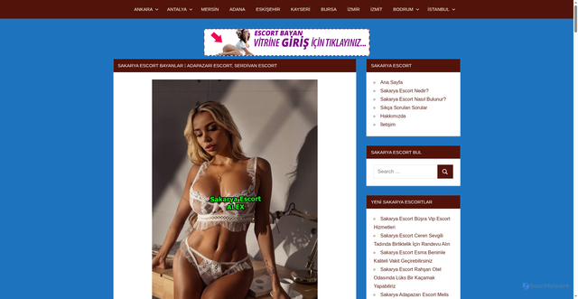 Security scan screenshot of http://novaflare.store/