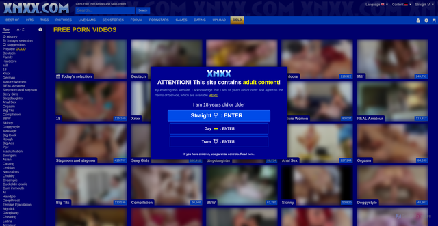 Security scan screenshot of https://www.xnxx.com/