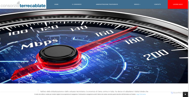 Security scan screenshot of https://www.consorzioterrecablate.it